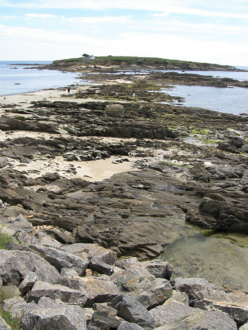 Coaching Het Zand - Utrecht - Leidsche Rijn